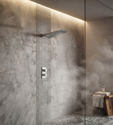 Shower & Wellness - Soffione One Evò a parete pioggia 500x200